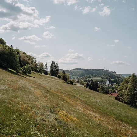 Apartmán Waelderliebe *