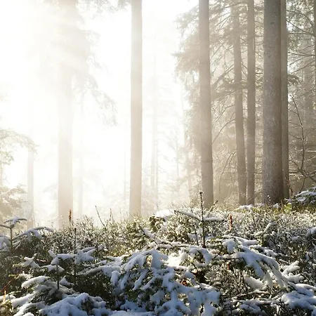 Waelderliebe Apartmán