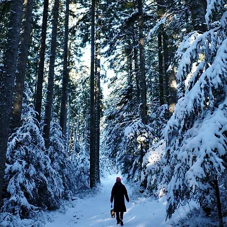 Apartmán Waelderliebe
